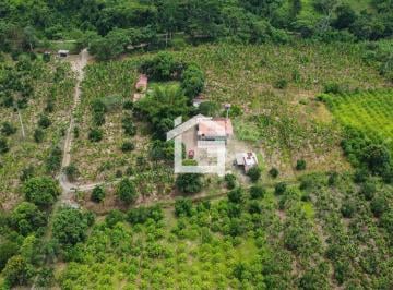 Hacienda-Quinta , Huaquillas · Finca de 49 Has en Venta en Santa Marianita, Arenillas