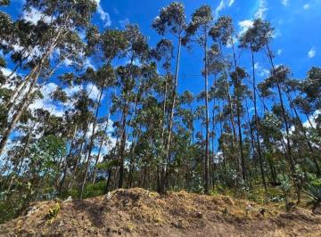 Terreno / Lote , Cotacachi · Terreno de 2 Ha en Venta en Cotacachi Sector Comunidad Asaya