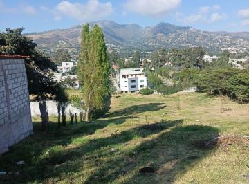 Terreno / Lote , Quito · Vendo Lindo Terreno en Tumbaco Sector La Morita