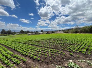 Terreno / Lote , Quito · Vendo Hermoso Terreno Yaruki 33.000 m 3 Ha