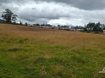 Terreno / Lote · 8000m² · Terreno de Oportunidad de 8.000 m² en El Centro de Tabacundo | Ideal Para Inversión