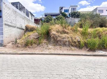 Terreno / Lote · 220m² · Venta de Terreno en Santa Mónica con Inmediata Salida a La Antigua Vía a Conocoto