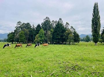 Terreno / Lote , Quito · Terreno en Venta en Amaguaña, Quito de 8ha