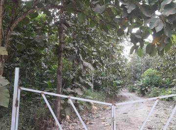 Hacienda-Quinta , El Triunfo · Finca en La Via a Huigra a 17 Km del Triunfo y 800 m de Dos Bocas
