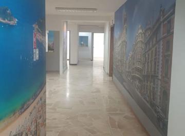 Local comercial , Quito · Arriendo Local Comercial de 300 m² - Pinta y Reina Victoria - 6 Ambientes + Parqueaderos