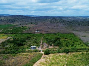 Hacienda-Quinta · 50ha · Finca de 50 Hectáreas en Venta en Colonche, Limoncito Ronr