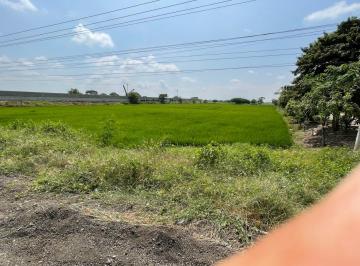 Terreno / Lote , Daule · Terreno Via Las Lojas