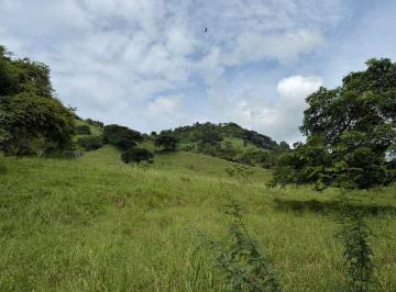 Terreno / Lote , Santa Ana · Terreno de Venta en Santa Ana Sector Visquije