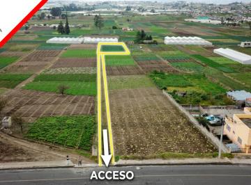 Terreno / Lote , Ambato · Terreno Sector Unamuncho Primavera