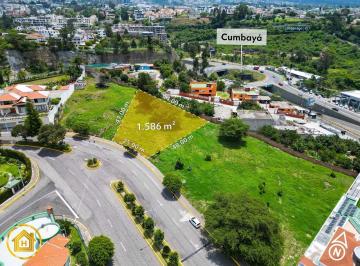Terreno / Lote · 1586m² · Terreno en Venta de 1586 m - Proyecto Residencial - Zona Estratégica Sector La Primavera - Cumbayá