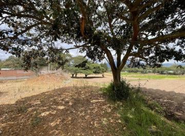 Terreno / Lote , Quito · Terreno de 4780 m² en Venta en Puembo Excelente Ubicacion