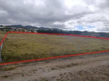Terreno / Lote , Ibarra · Terreno en Venta en Tocachi Tabacundo