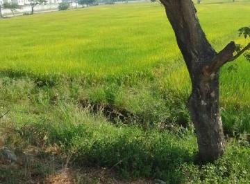 Terreno / Lote · 44200m² · Vendo Terreno en La Vía Salitre, 44200 m Cuadrados