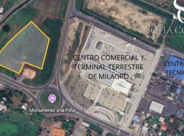 Terreno / Lote · 12601m² · En Venta Terreno Industrial/comercial Km 4 1/2 Vía a Milagro - Virgen de Fátima