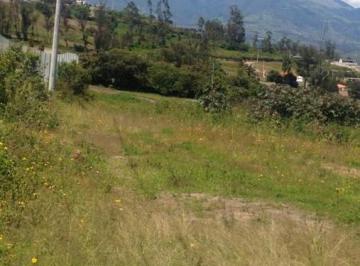 Terreno / Lote · 4338ha · Renta Terreno Excelente Ubicación, Sector San Antonio de Ibarra
