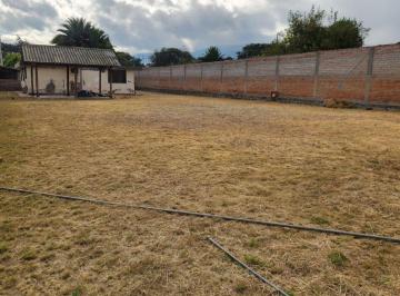 Terreno / Lote , Quito · Terreno de 1280 m² Para Mecánica, Carpintería, Guardería de Perros en Renta en Tumbaco El Arenal