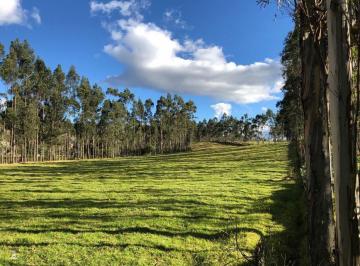 Bodega-Galpón · 30570m² · Vendo Dos Haciendas en Pintag (3,5 y 3,8 Ha a $10 y $13 C/m² Respectivamente)