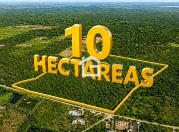 Hacienda-Quinta , Huaquillas · Terreno en Venta en Huaquillas – 10 Hectáreas con Alto Potencial de Desarrollo
