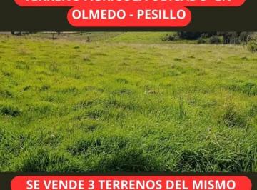 Terreno / Lote , Ibarra · Terreno de Venta en Olmedo Pesillo Cayambe