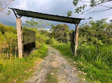 Terreno / Lote , Santo Domingo · Quinta en Venta La Alianza - Las Mercedes