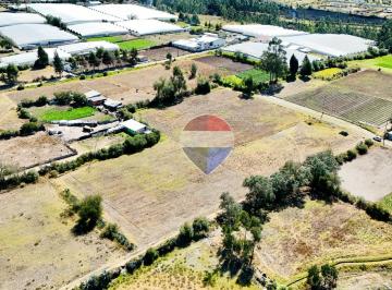 Terreno / Lote , Pedro Moncayo · Terreno en Venta 10.555 m² en Tabacundo – Sector La Esperanza