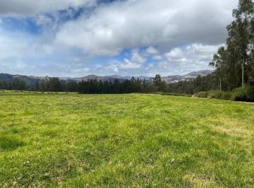 POTRERO · Vendo Hacienda en Machachi de 95 Ha