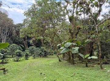 Hacienda-Quinta , Mindo · Finca 11 Hectáreas con Negocio Turístico en Mindo