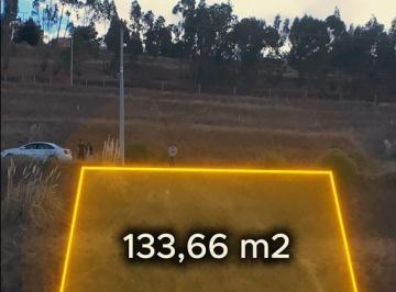 Terreno / Lote · 133m² · Terreno en Venta Huachi Chico Sector Seminario Mayor