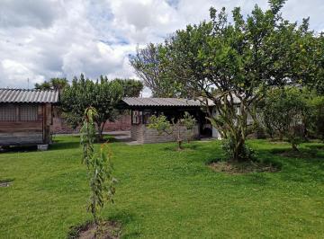 Terreno / Lote · 500m² · Conocoto Terreno en Venta Cerca de La Av Ilalo. Cos en Pb 50%, 3 Pisos