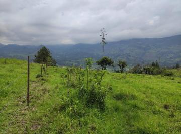 Terreno / Lote · 2500m² · Terrenos de Venta en Azuay Zona Residencial, Sector Cachiloma