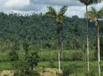 Terreno / Lote · 700000m² · 5 Habitaciones · Venta Hermosa Hacienda 70 Ha Ubicada en Los Bancos
