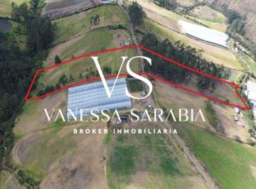 Terreno / Lote , Quito · Terreno de 20288 m² en Alquiler en Checa