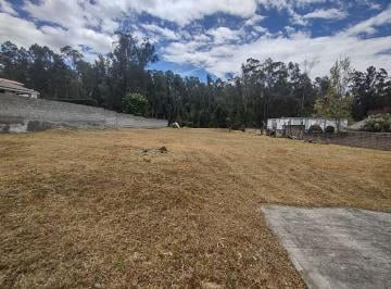 Terreno / Lote , Quito · Terreno en Venta 2.231 m², Cerramiento y Servicios Básicos Instalados, Conocoto, Valle de Los Chillos