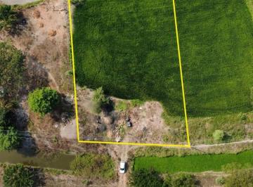 Terreno / Lote , Daule · Oportunidad de Inversión en Zona de Alta Plusvalía