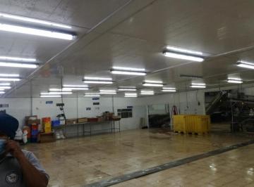 Oficina comercial , Guayaquil · De Venta en Guayas Empacadora de Camarón
