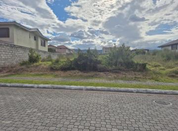 Terreno / Lote , Quito · Terreno en Venta Sector San Pedro de Taboada - Valle de Los Chillos