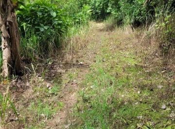Hacienda-Quinta , Junín · Finca de 11,42 Ha en Venta en Junín - Manabí