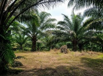 Hacienda-Quinta , El Carmen · Finca de 87 Ha Agro Forestal en El Carmen