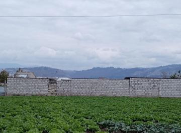 Terreno / Lote , Ambato · Terreno Plano de 875 m en El Sector Izamba.