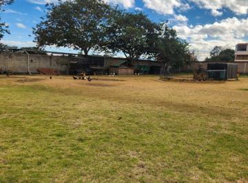 Terreno / Lote , Quito · Terreno de 2560 m² en Alquiler en Tumbaco Mas Suite