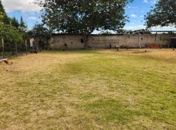 Terreno / Lote , Quito · Terreno de 2560 m² en Alquiler en Tumbaco Mas Suite