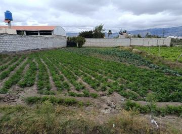 Terreno / Lote , Ambato · Terreno de Venta de 600 m en Sector Izamba - Ambato