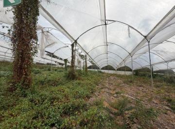 Terreno / Lote , Antonio Ante · Propiedad en Venta 1,8 Has - Atuntaqui