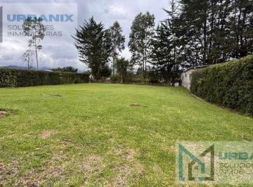 Terreno / Lote · 133m² · 3 Habitaciones · 4 Estacionamientos · Terreno en Puembo