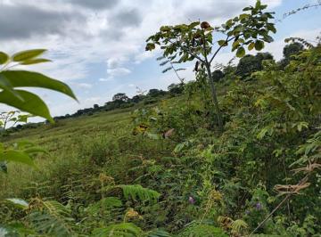 Hacienda-Quinta , Balzar · Hacienda Plana de 127ha en Colimes de Balzar, Guayas
