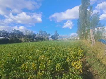 Terreno / Lote · 9090m² · Vendo Terreno Agrícola Yaruquí Sector San Rafael Frente 50 m 9.500 m²