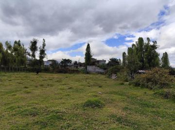 Terreno / Lote · 4831m² · Terreno en Alquiler en Tumbaco, Ideal Para Guardería Canina, Logística o Club Deportivo