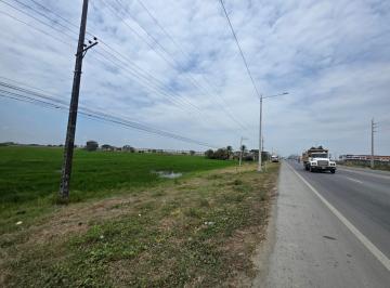 Terreno / Lote , Daule · Vendo Terreno Al Pie de La Via, Salitre Km. 6, Ideal Para Urbanización