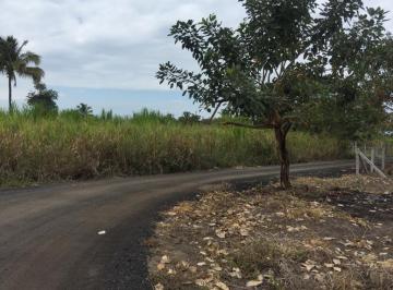 Terreno / Lote · 434m² · Terreno en Venta de 434 m² en Cojimíes - Pedernales Cerca a La Playa.