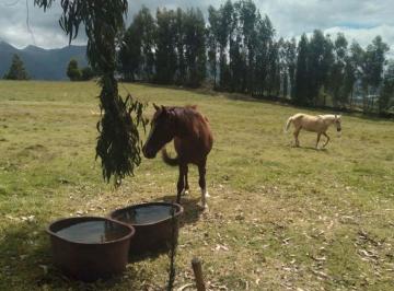 Terreno / Lote , Cayambe · Parcela de 10.000 m² con Vistas Panorámicas a La Montaña – Cayambe, Ecuador